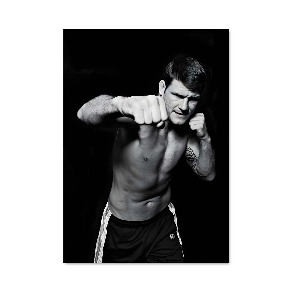Poster Michael bisping